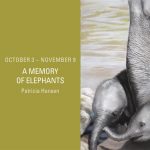 "A Memory of Elephants" Gallery Night Reception