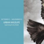 "Urban Wildlife: Learning to Co-Exist" Gallery Night Reception
