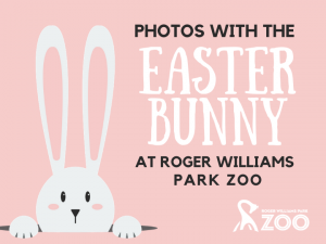 Photos With the Easter Bunny