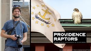 Providence Raptors: Urban Wildlife Talk with Peter Green