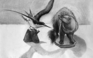 Drawing Wild- From the Collection
