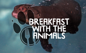 Breakfast With the Giant River Otters at Roger Williams Park Zoo