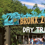 Travel with Roger Williams Park Zoo to the Bronx Zoo