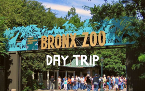 Travel with Roger Williams Park Zoo to the Bronx Zoo