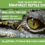 Rainforest Reptile Shows at Roger Williams Park Zoo