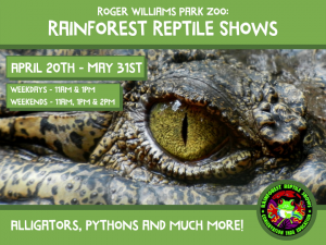 Rainforest Reptile Shows at Roger Williams Park Zoo