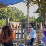 Yoga With The Elephants at Roger Williams Park Zoo