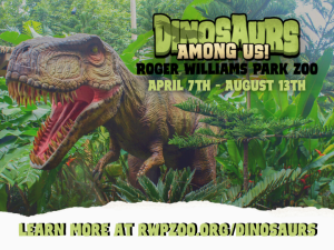 Dinosaurs Among Us at Roger Williams Park Zoo