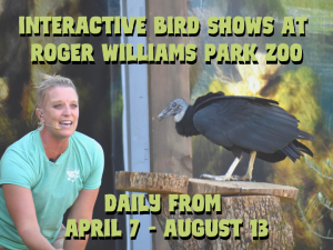 Interactive Bird Show at Roger Williams Park Zoo