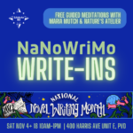 NaNoWriMo Write-ins