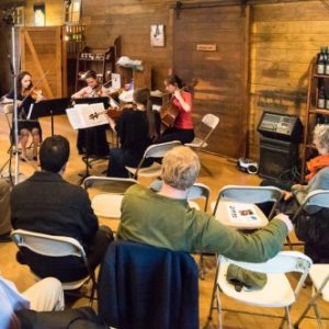 String Quartets @ Greenvale Vineyards