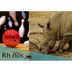 Bowling for Rhinos!