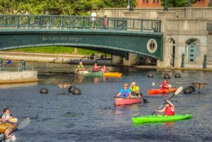 Paddle Downtown Providence!