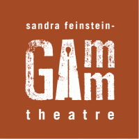 Sandra Feinstein-Gamm Theatre
